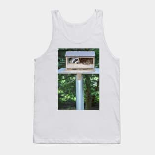 Why the songbirds don't arrive... Tank Top